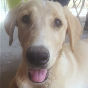 Meet your Posher, Marina